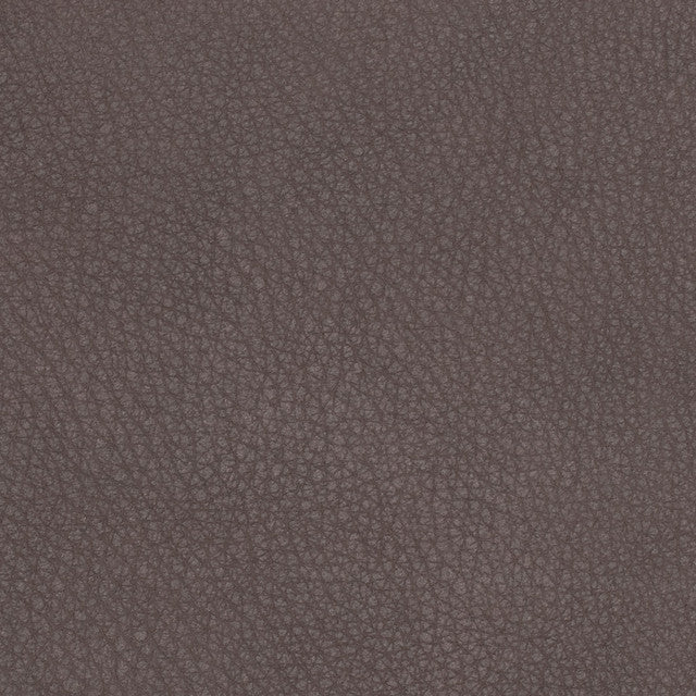 American Leather - Light Protection - Leather Collection