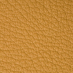 Bison Mustard