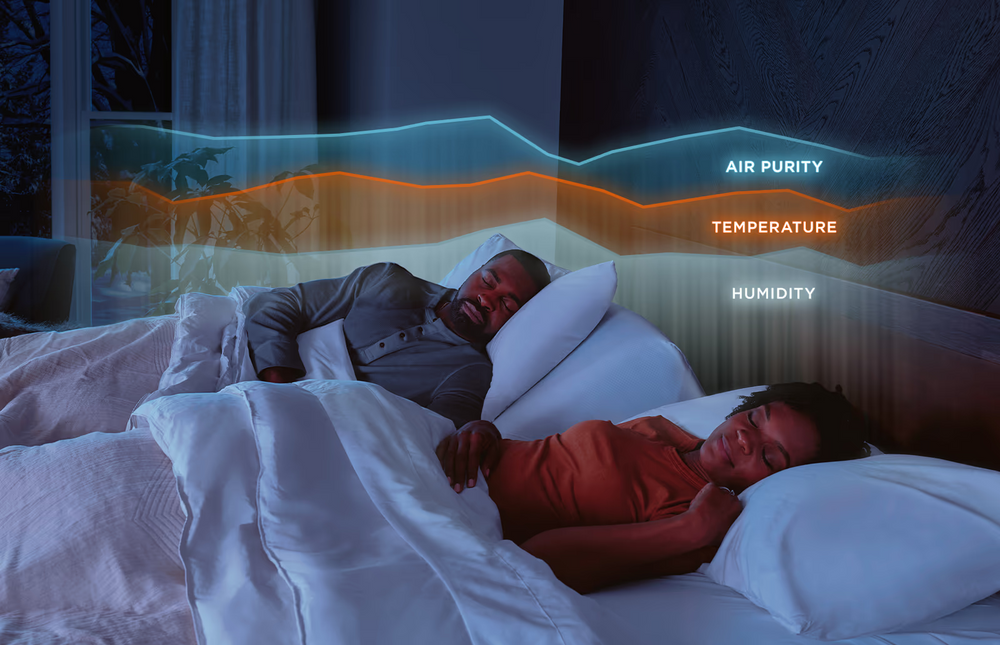Tempur-Ergo Smart Base - Queen