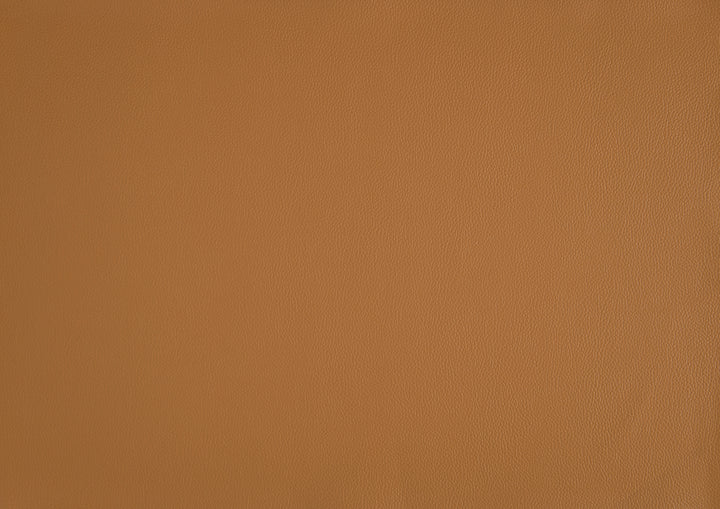 Houghton Leather Accent Chair in Orange