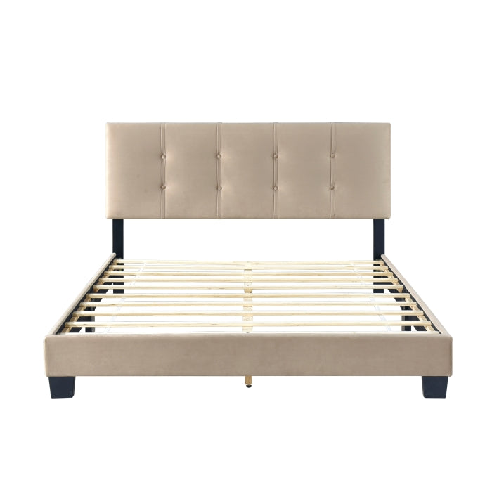 Newberry Velvet Upholstered Platform Queen Bed
