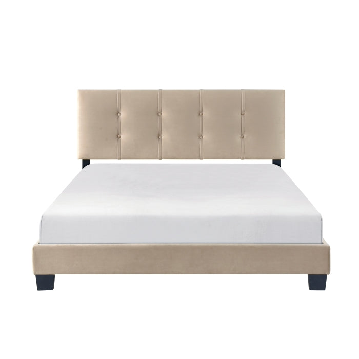 Newberry Velvet Upholstered Platform Queen Bed