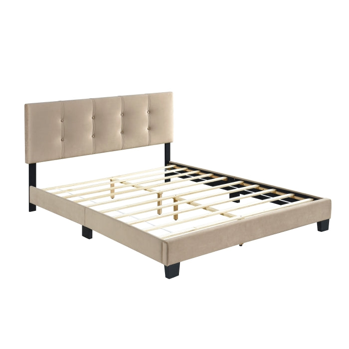 Newberry Velvet Upholstered Platform Queen Bed