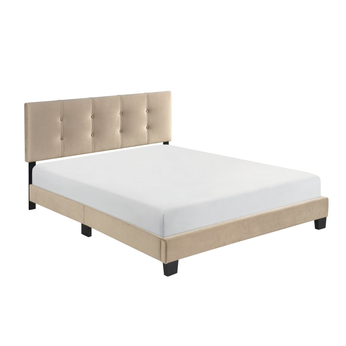 Newberry Velvet Upholstered Platform Queen Bed