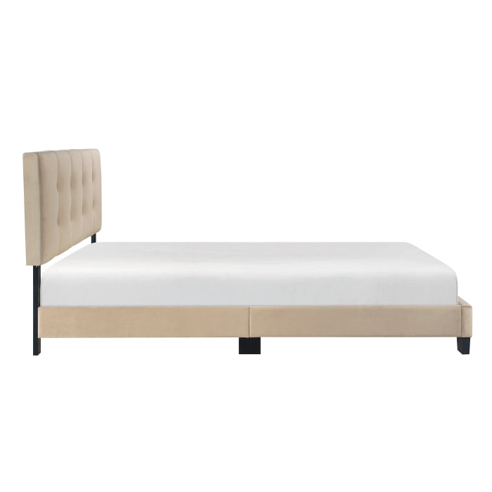 Newberry Velvet Upholstered Platform Queen Bed