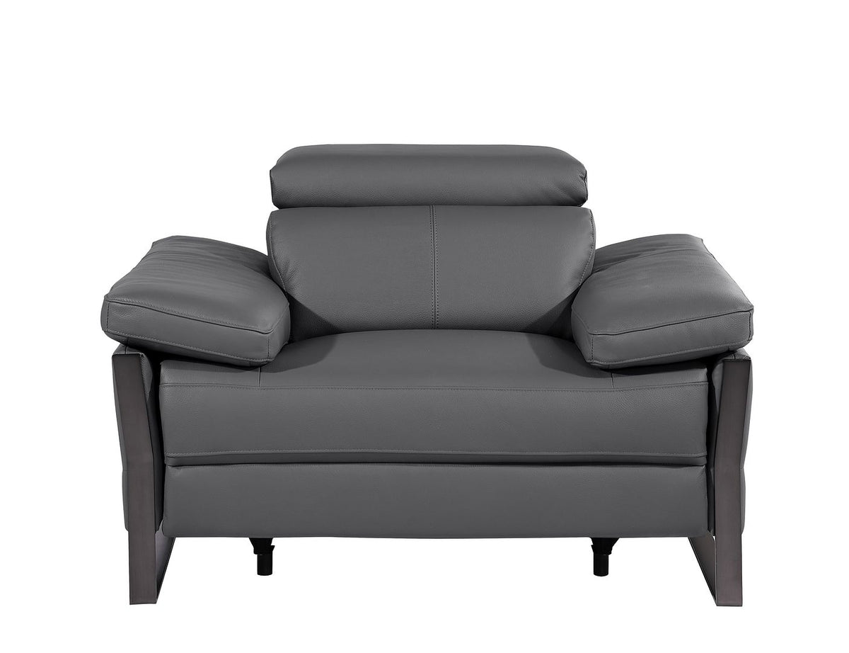 DivanItalia 1246 Power Reclining Arm Chair with Power Headrests – Top Grain Italian Leather - Dark Gray