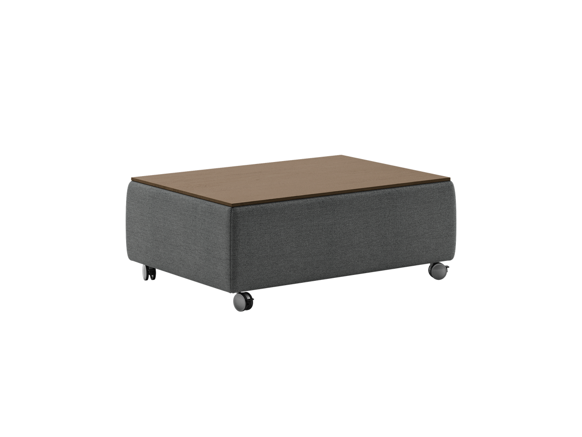 Luonto Functional studio - Functional-Table Fun-481 901-6-Caster Closed Angle