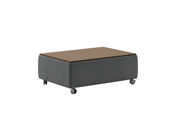 Luonto Functional studio - Functional-Table Fun-481 901-6-Caster Closed Angle
