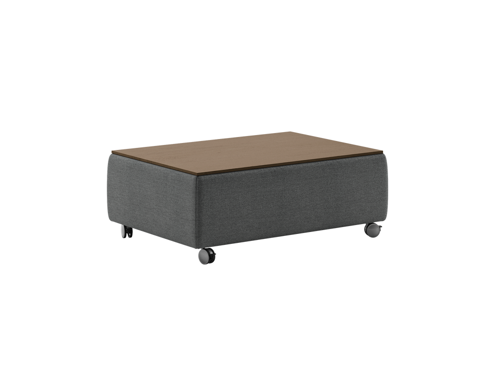 Luonto Functional studio - Functional-Table Fun-481 901-6-Caster Closed Angle