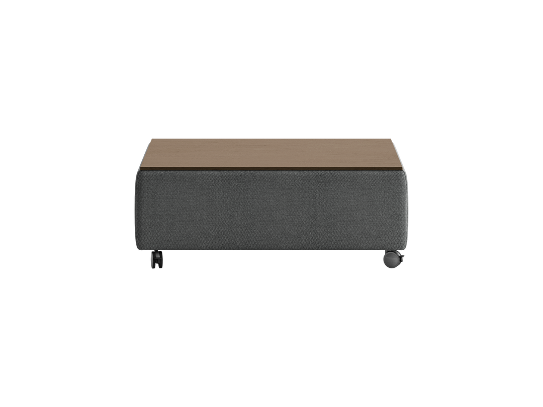 Luonto Functional studio - Functional-Table Fun-481 901-6-Caster Closed Front