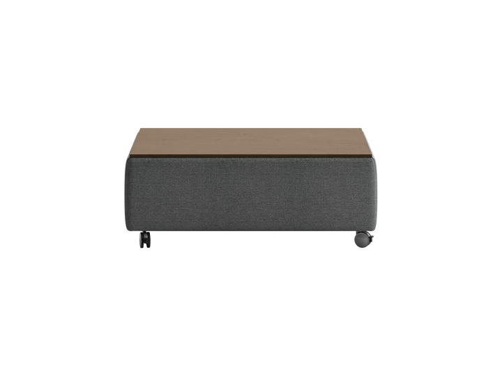 Luonto Functional studio - Functional-Table Fun-481 901-6-Caster Closed Front