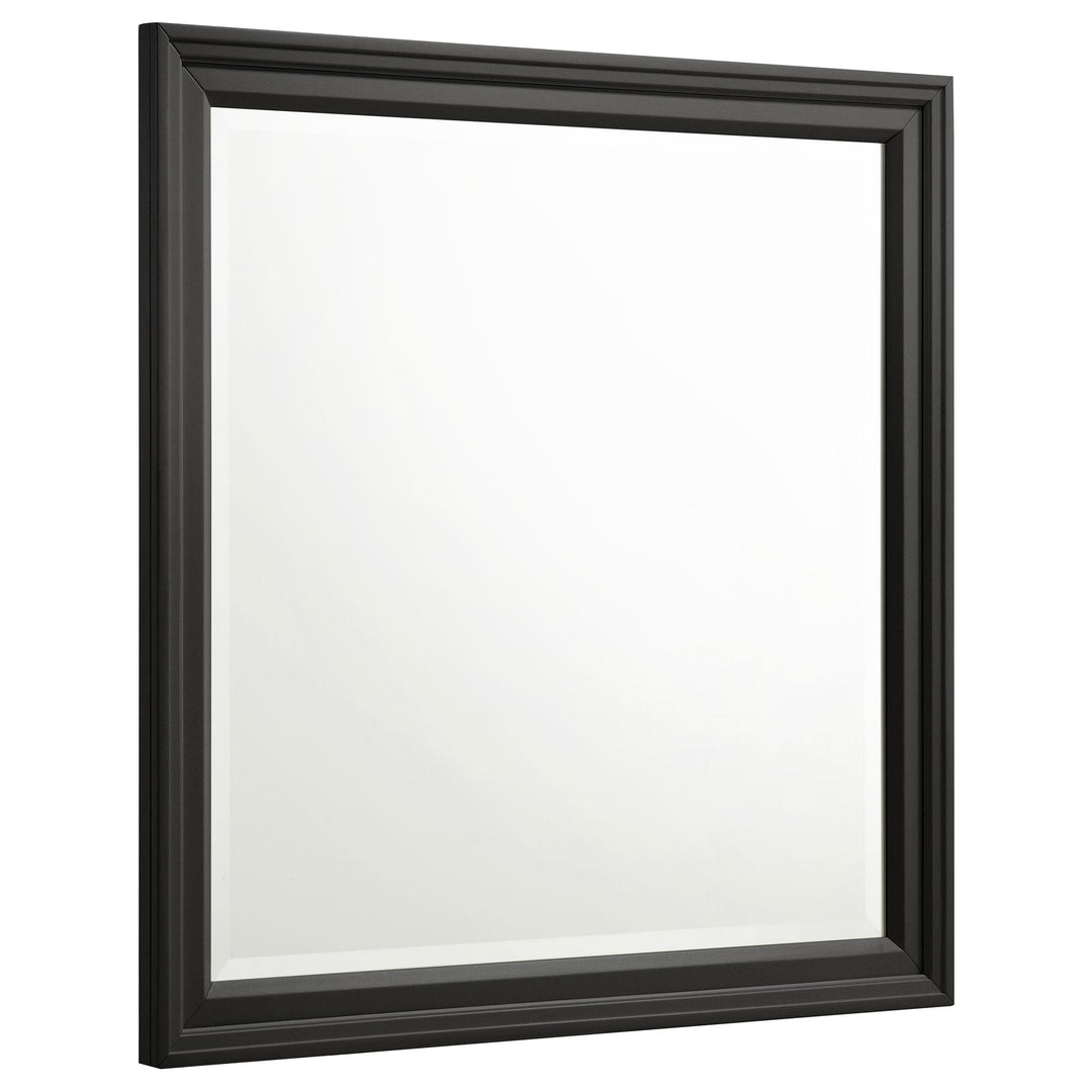 Coaster Furniture 201324 Sandy Beach Dresser Mirror Black