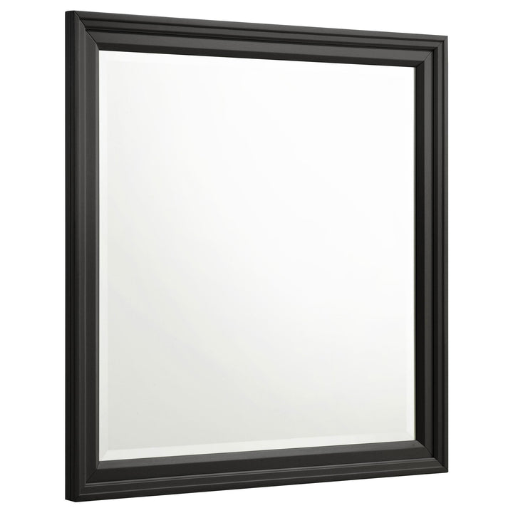 Coaster Furniture 201324 Sandy Beach Dresser Mirror Black