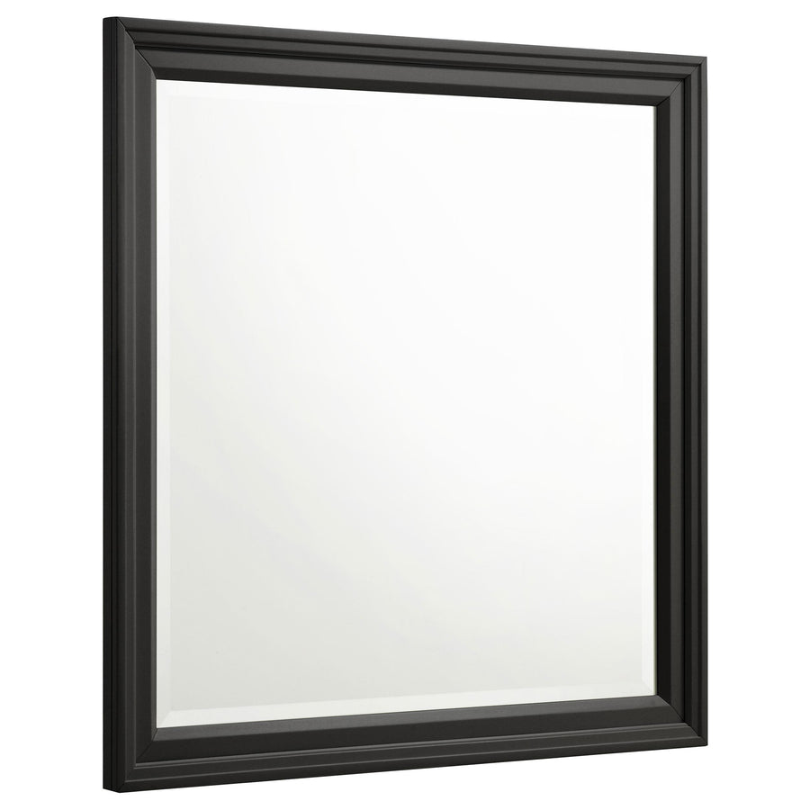 Coaster Furniture 201324 Sandy Beach Dresser Mirror Black