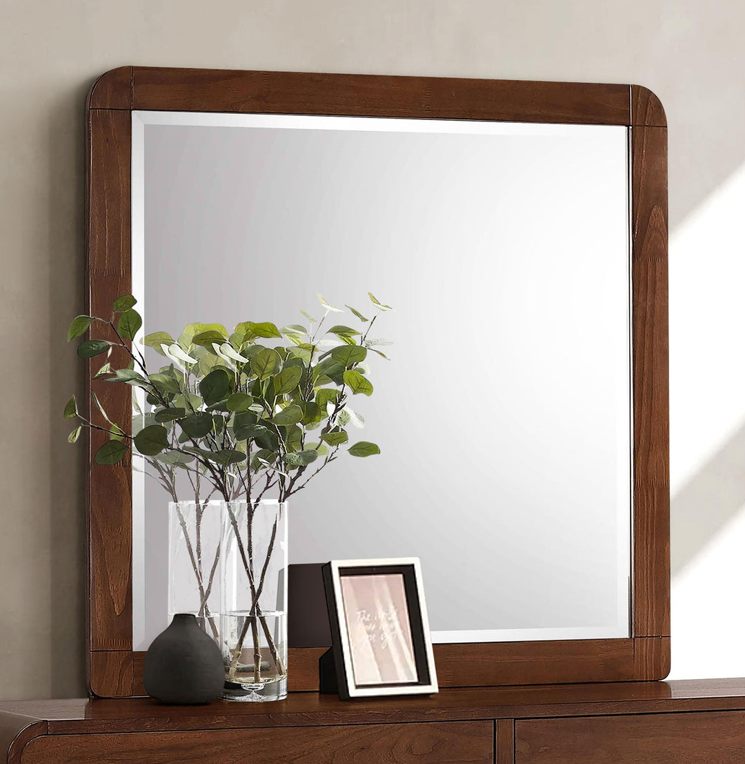 coaster-furniture-205134-robyn-dresser-mirror-dark-walnut