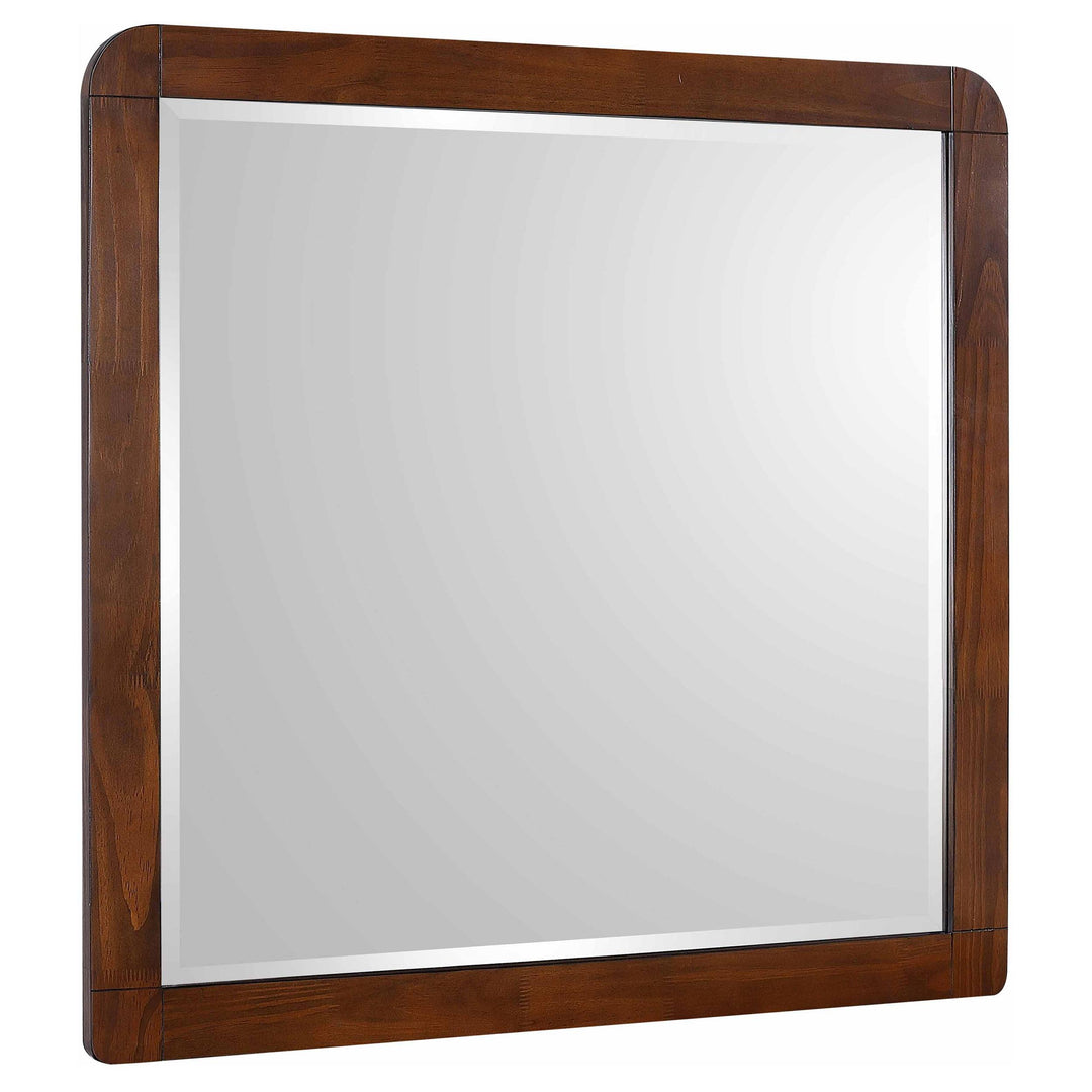 Coaster Furniture 205134 Robyn Dresser Mirror Dark Walnut