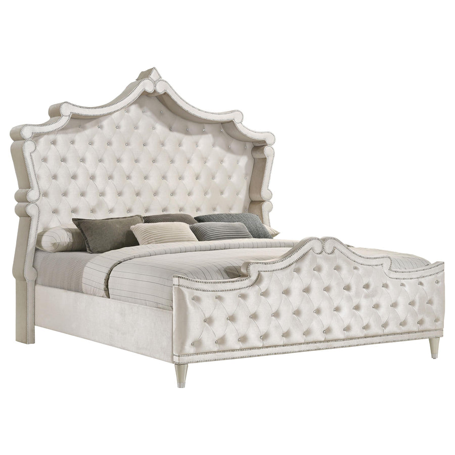 Coaster Furniture 223521KE Antonella Upholstered Eastern King Panel Bed Ivory and Camel