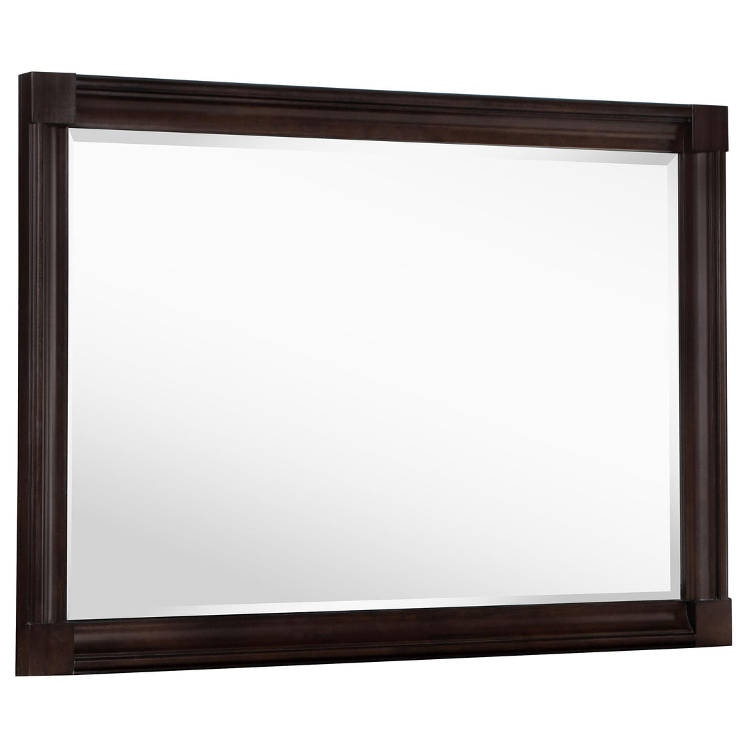 Coaster Furniture 223634 Andover Dresser Mirror Dark Oak