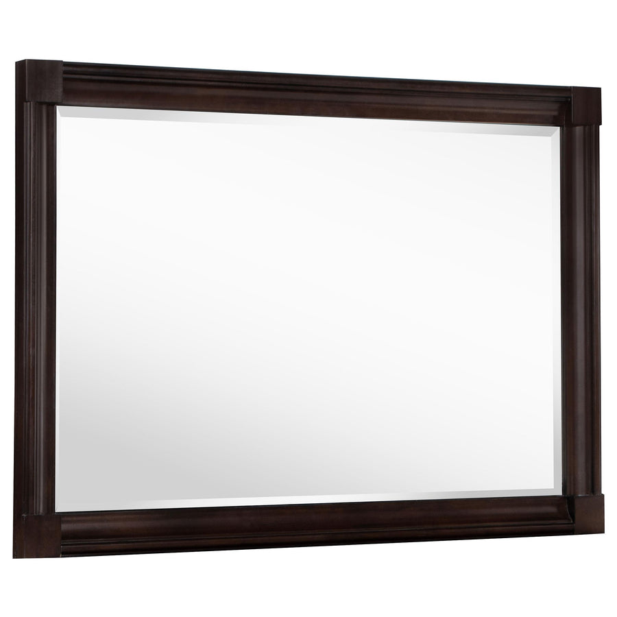 Coaster Furniture 223634 Andover Dresser Mirror Dark Oak