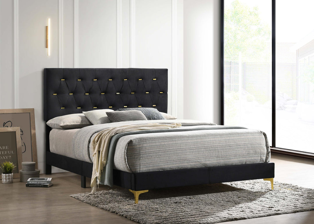 coaster-furniture-224451q-kendall-upholstered-queen-panel-bed-black