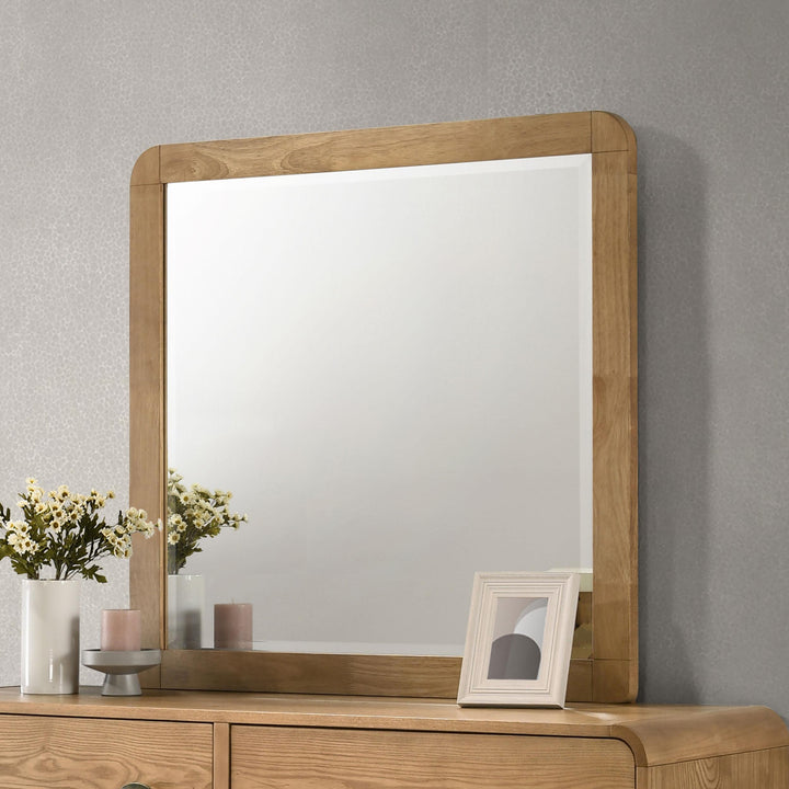 coaster-furniture-225094-robyn-dresser-mirror-light-ash