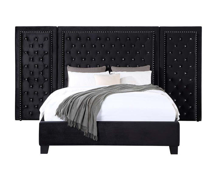 Damazy - Queen Bed - Black Velvet
