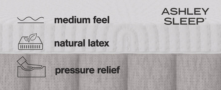 Terra Sleep Medium King Mattress - White (14)