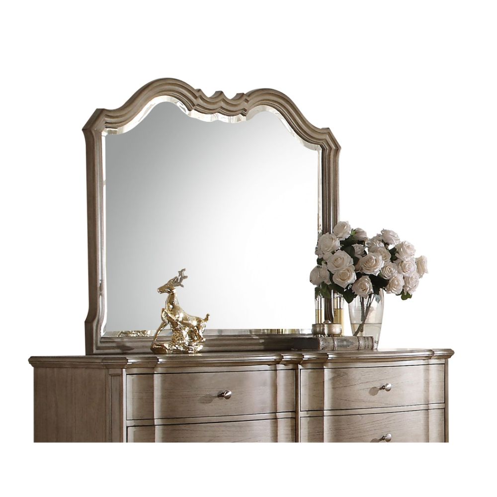 Chelmsford Mirror in Antique Taupe