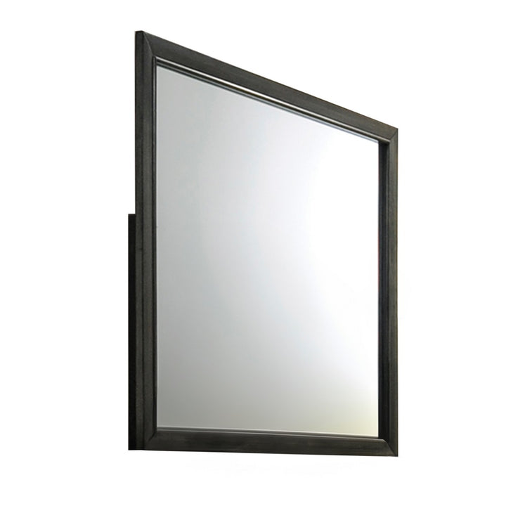 Carine II Mirror in Gray Finish
