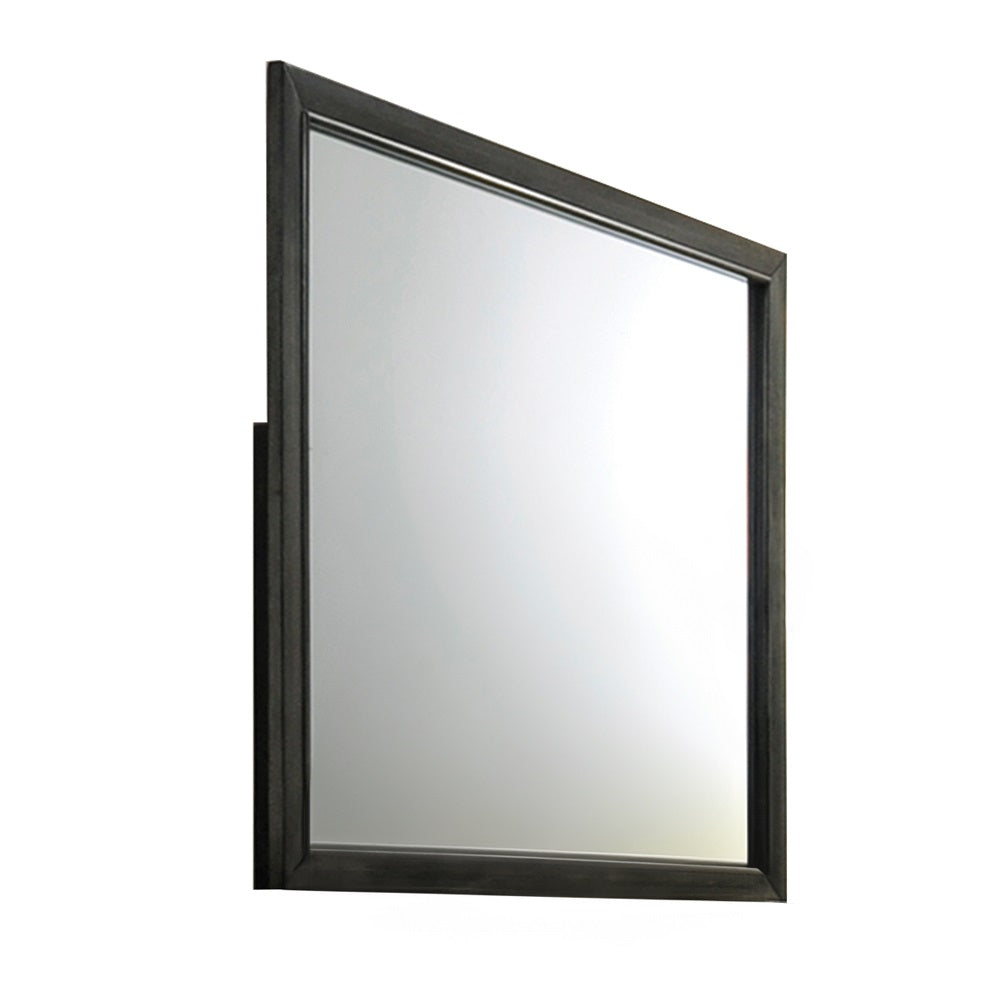 Carine II Mirror in Gray Finish
