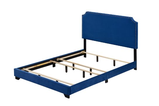 Haemon Queen Bed in Blue Velvet