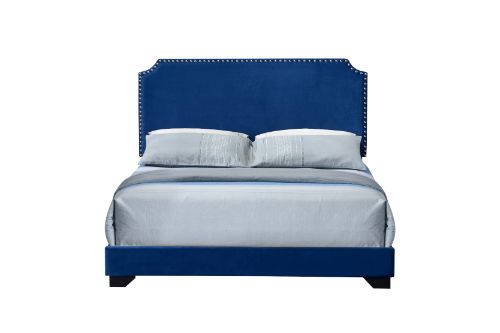 Haemon Queen Bed in Blue Velvet