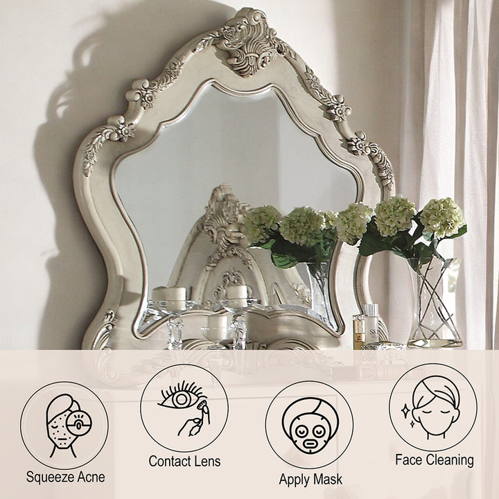 Ragenardus Mirror in Antique White - features