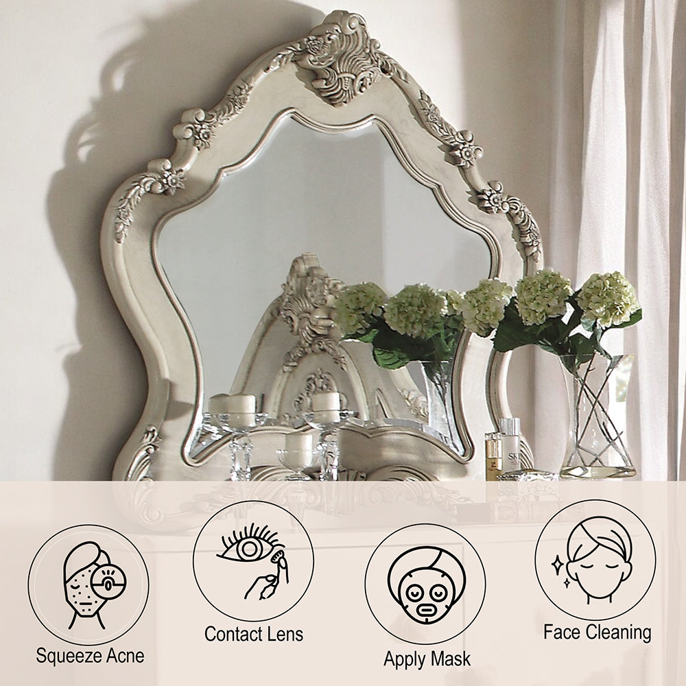 Ragenardus Mirror in Antique White - features