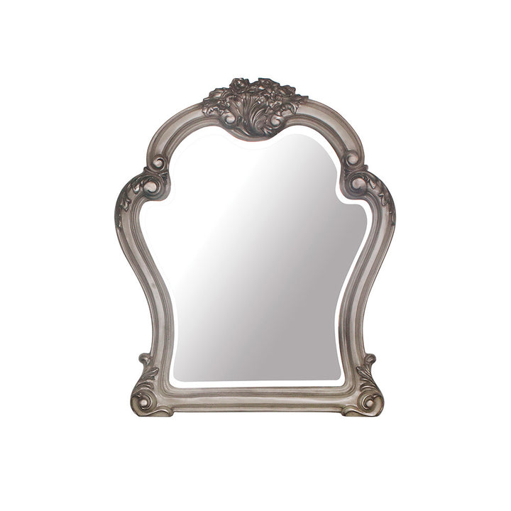 Dresden Mirror in Vintage Bone White