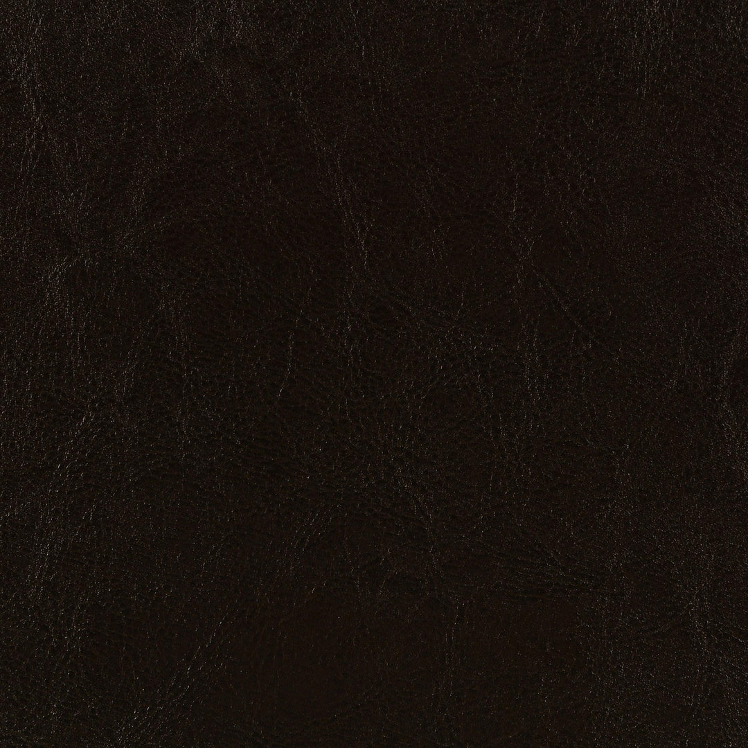 Coaster Furniture 300762Q Dorian Faux Leather Upholstered Queen Panel Bed Brown