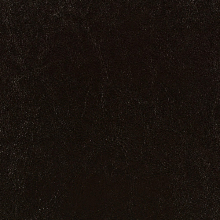 Coaster Furniture 300762Q Dorian Faux Leather Upholstered Queen Panel Bed Brown