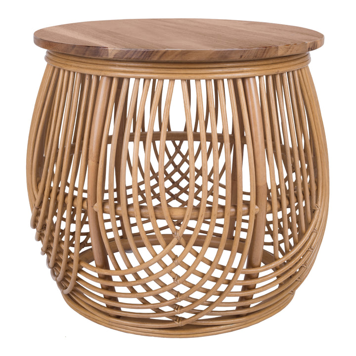 Arlo Rattan Side/End Table with Wood Top - Honey