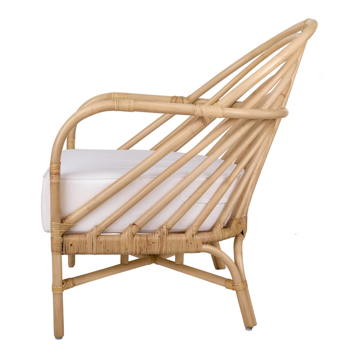 Lana Rattan Accent Arm Chair - Natural - view 4