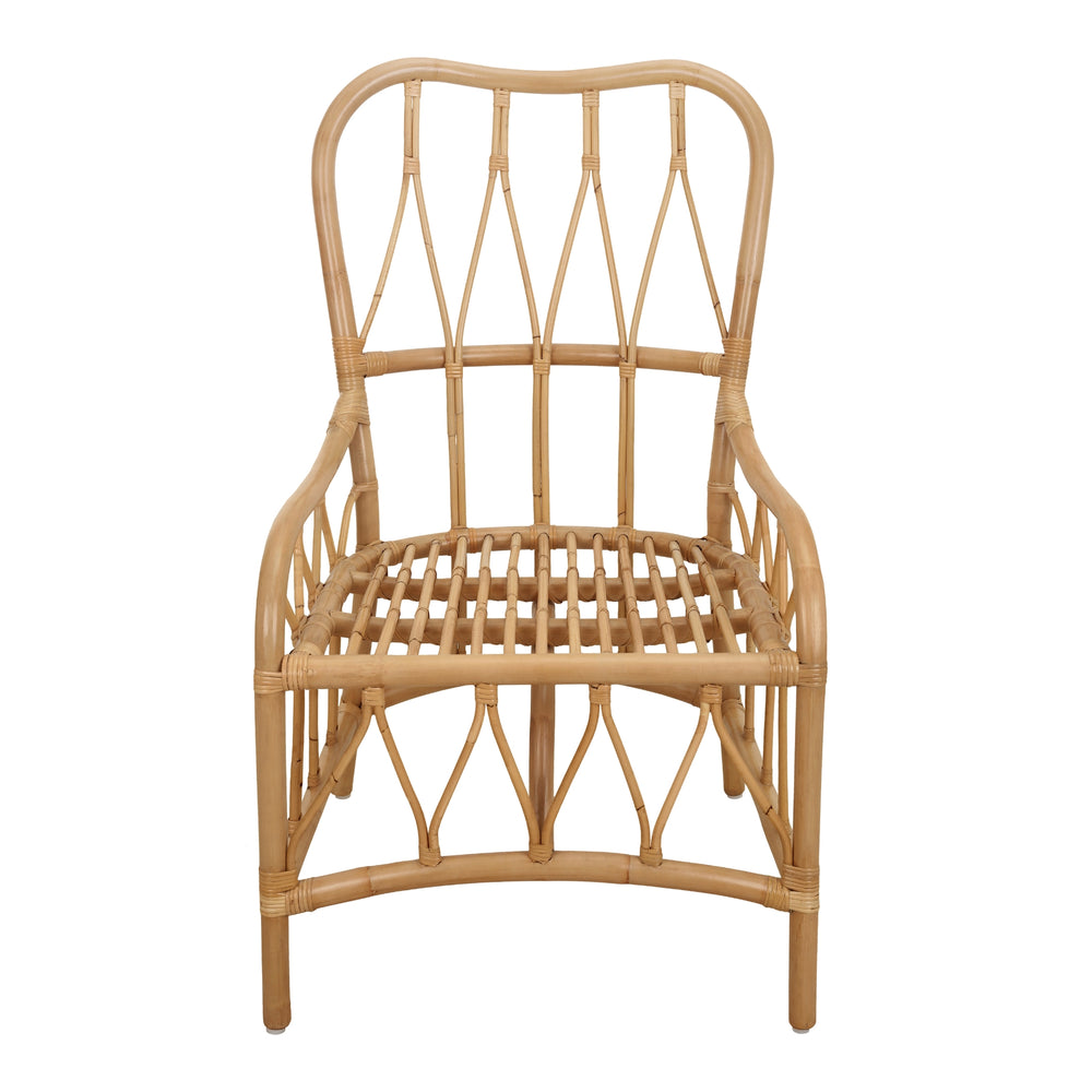 Ayanna Rattan Dining Side Chair - Natural Wheat - view 9