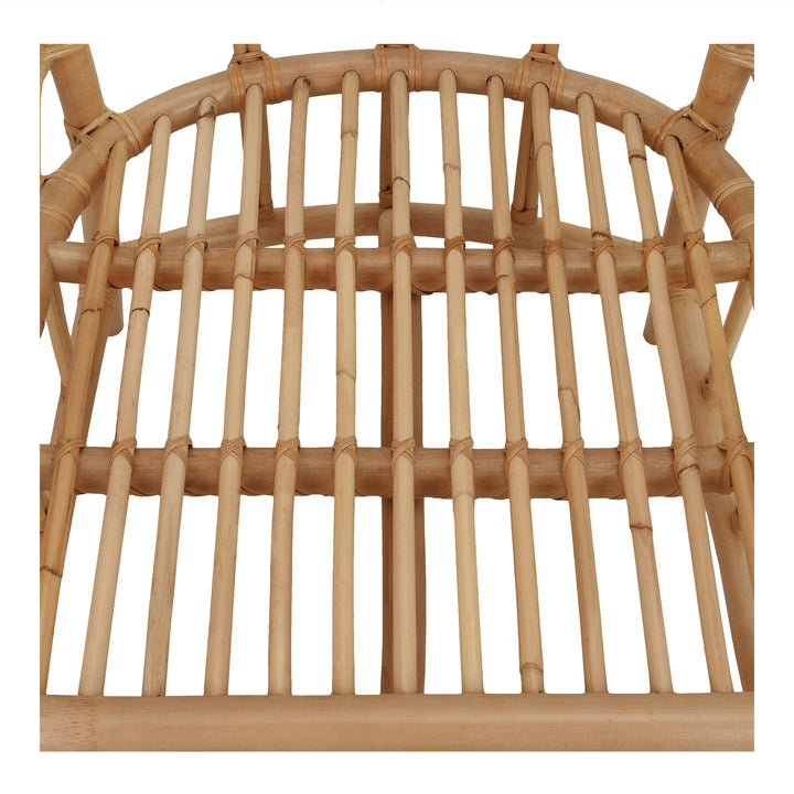 Ayanna Rattan Dining Side Chair - Natural Wheat - view 11