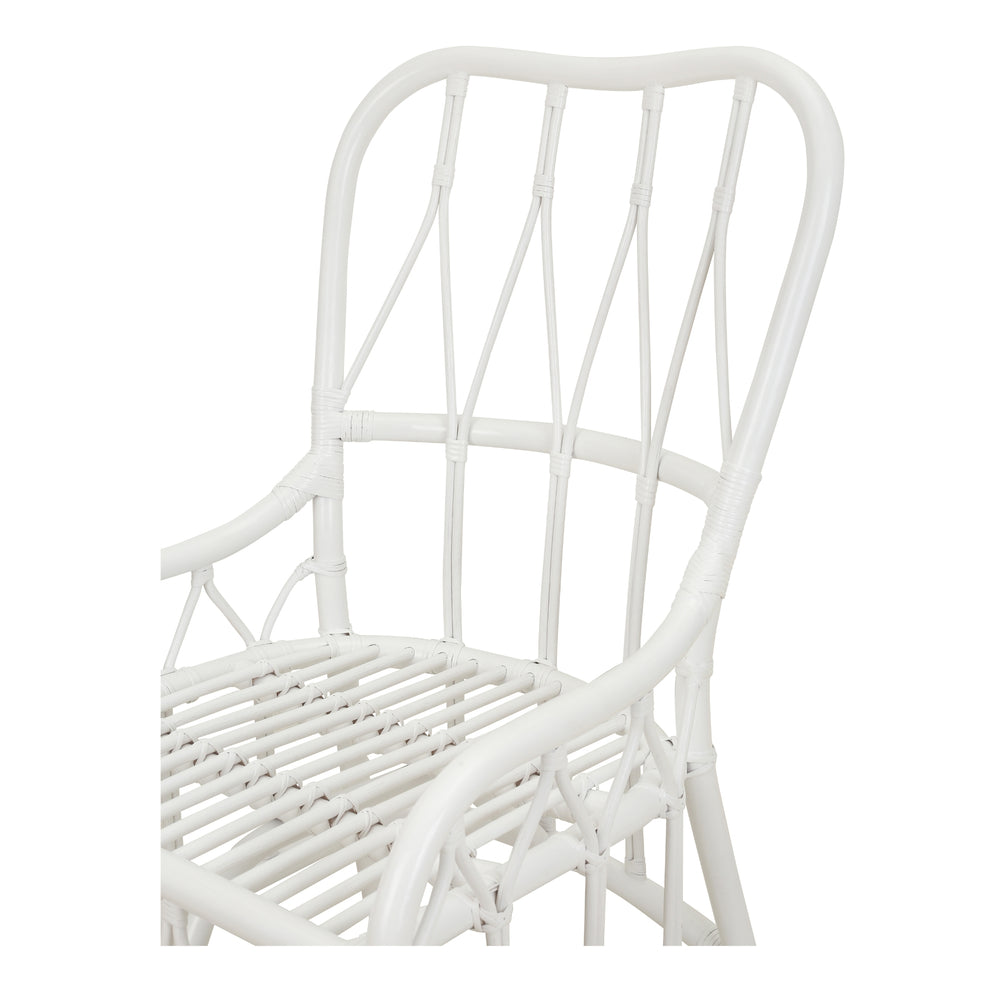 Ayanna Rattan Dining Side Chair - White - view 10