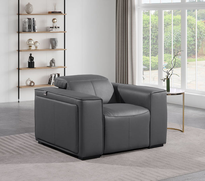 DivanItalia 1224 Top Grain Italian Leather Power Reclining Chair with Power Headrests - Dark Gray