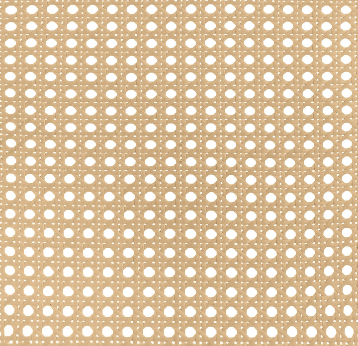 Coaster Furniture 360251KE Lanewood Open Cane Webbing Metal Eastern King Bed White