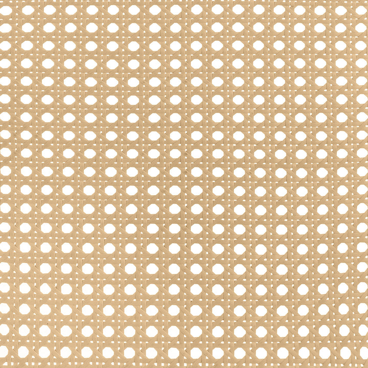 Coaster Furniture 360251Q Lanewood Open Cane Webbing Metal Bed White