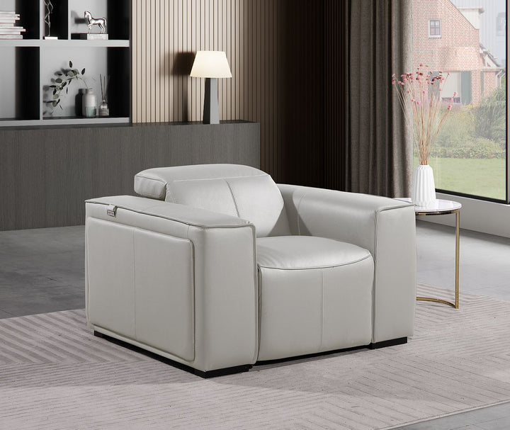 DivanItalia 1224 Top Grain Italian Leather Power Reclining Chair with Power Headrests - Light Gray