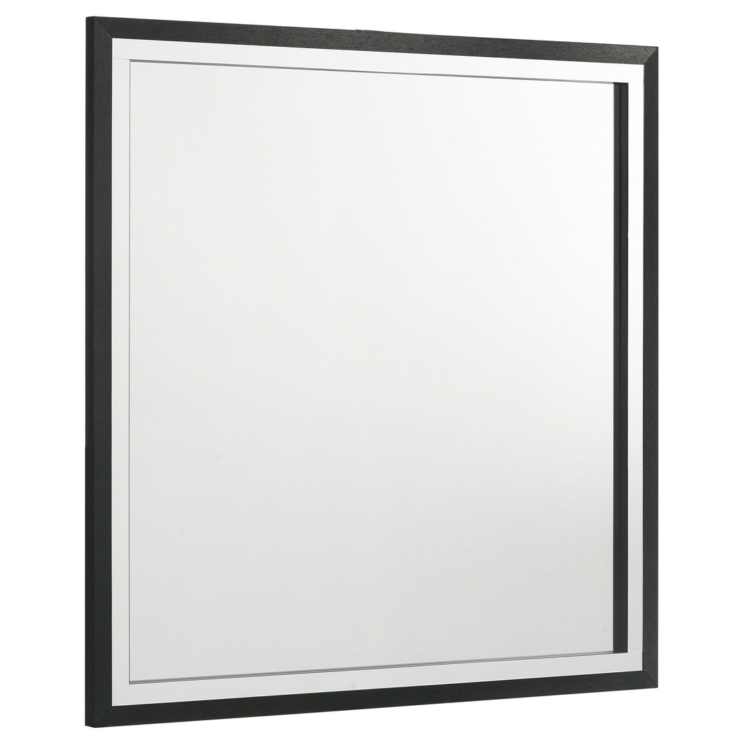 Coaster Furniture Lucia - Dresser Mirror - Black