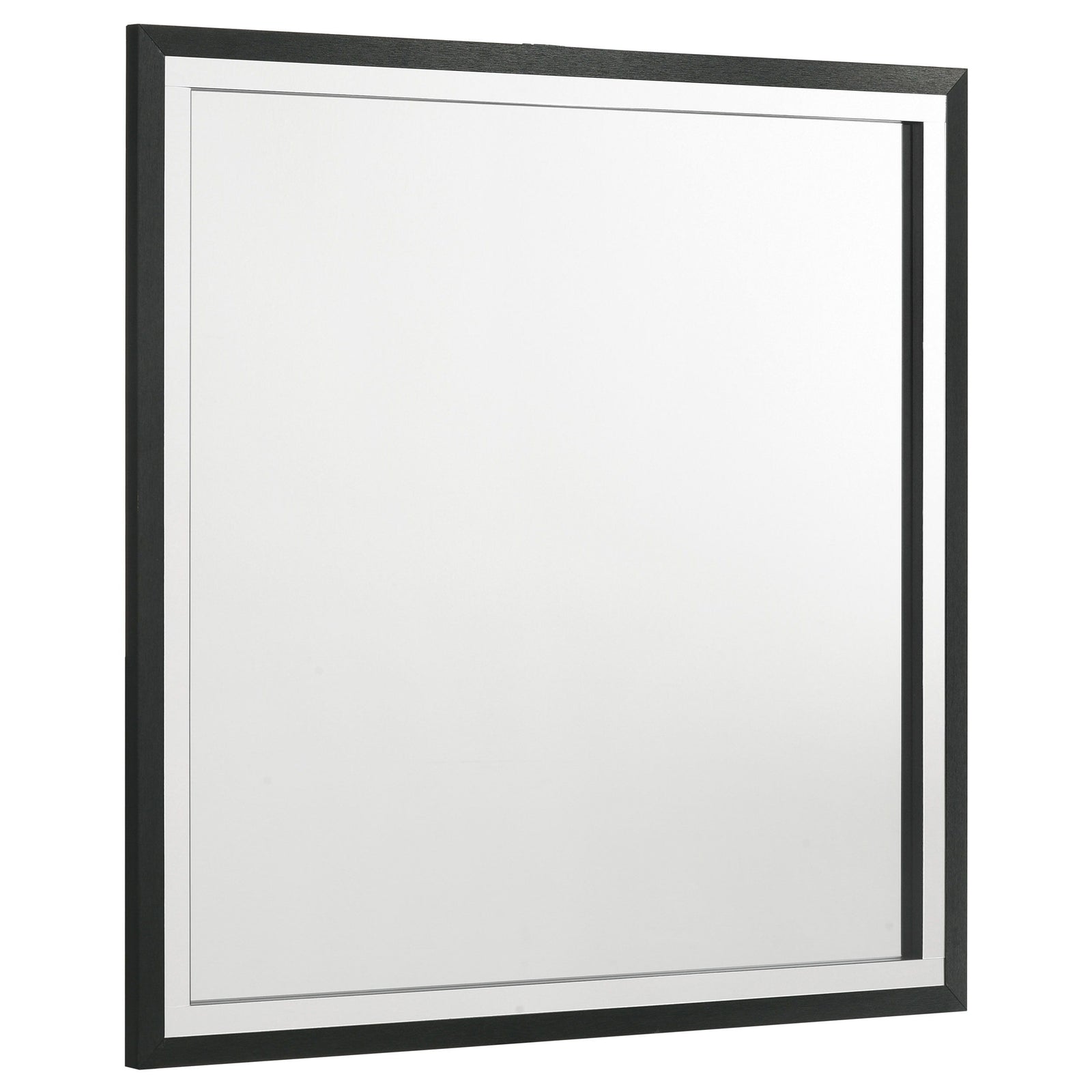 Coaster Furniture Lucia - Dresser Mirror - Black