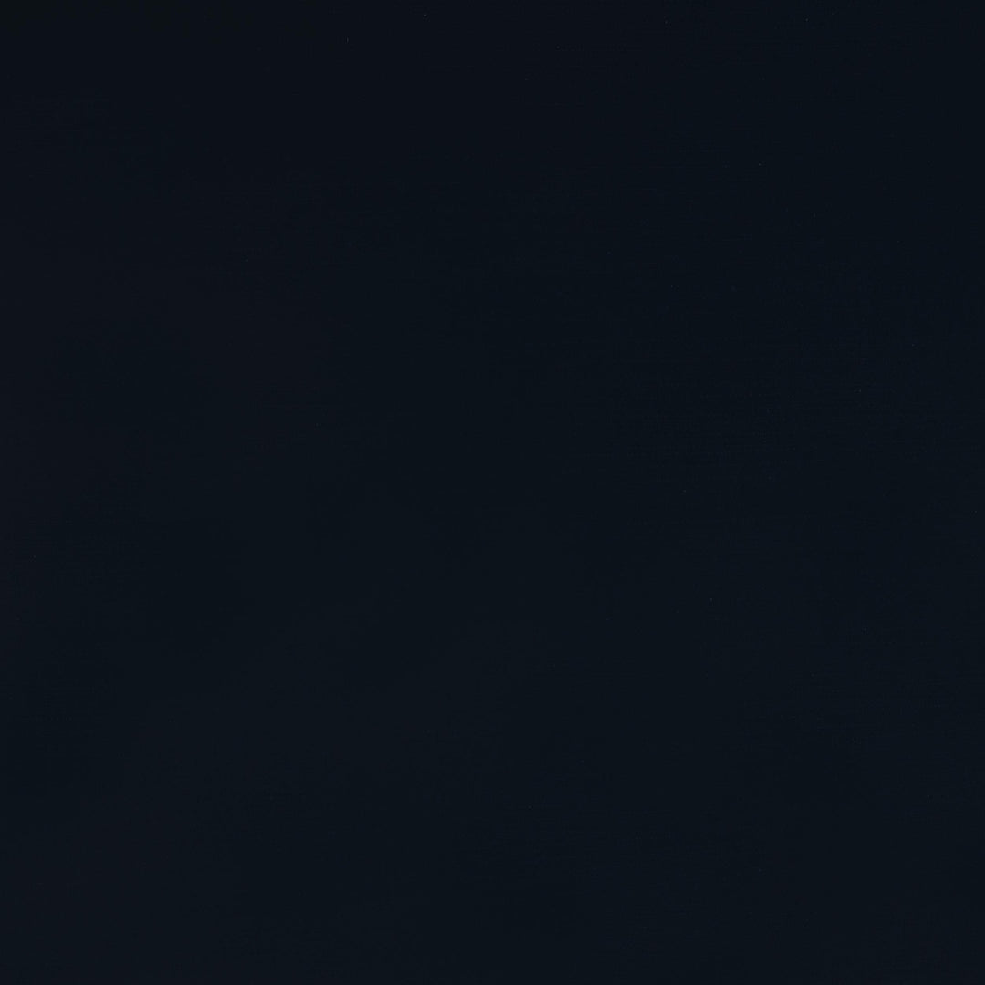 Coaster Furniture 401980T Carlsbad Wood Twin Captains Bed With Trundle Navy Blue