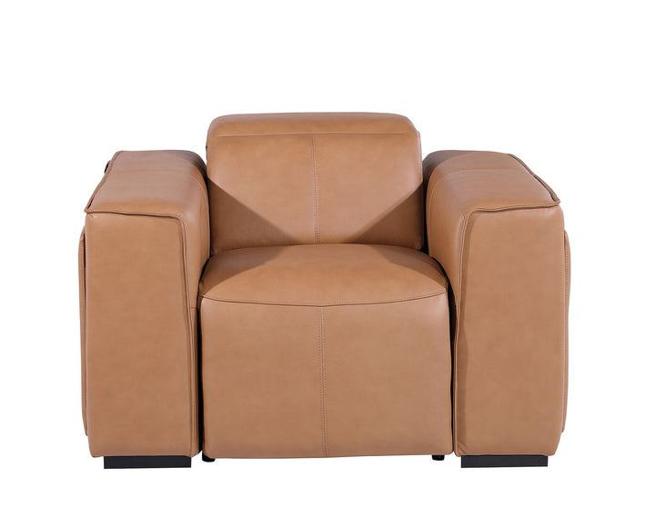DivanItalia 1224 Top Grain Italian Leather Power Reclining Chair with Power Headrests - Cognac